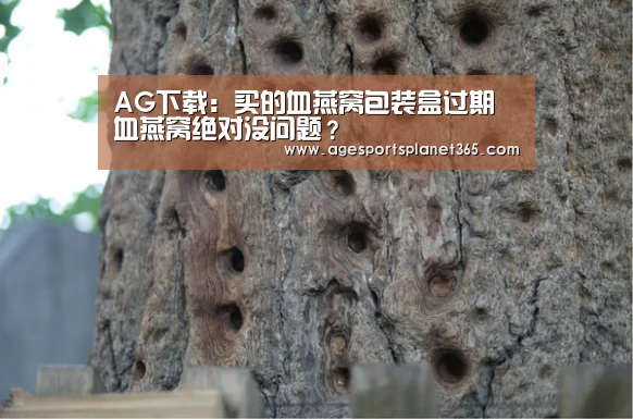 AG足球